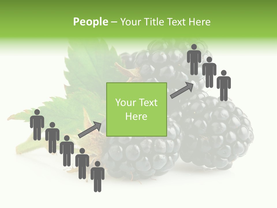 Healthy Eating Black Branch PowerPoint Template