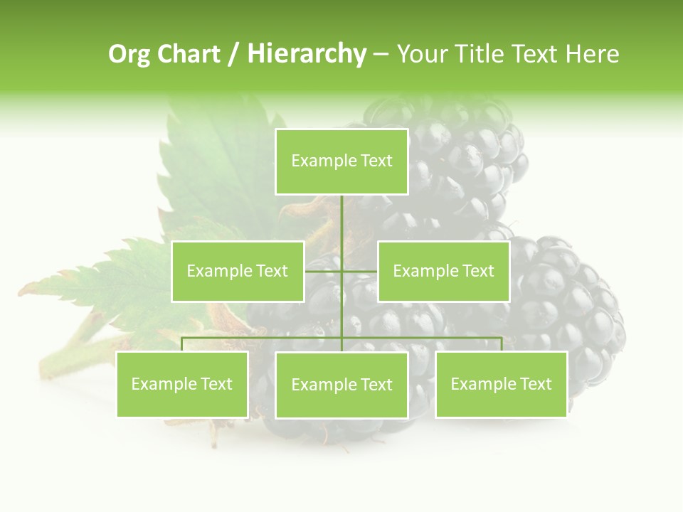 Three Nutrition Nature PowerPoint Template