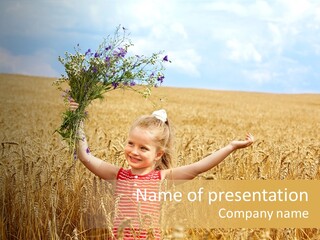 Field Wheat Sky PowerPoint Template