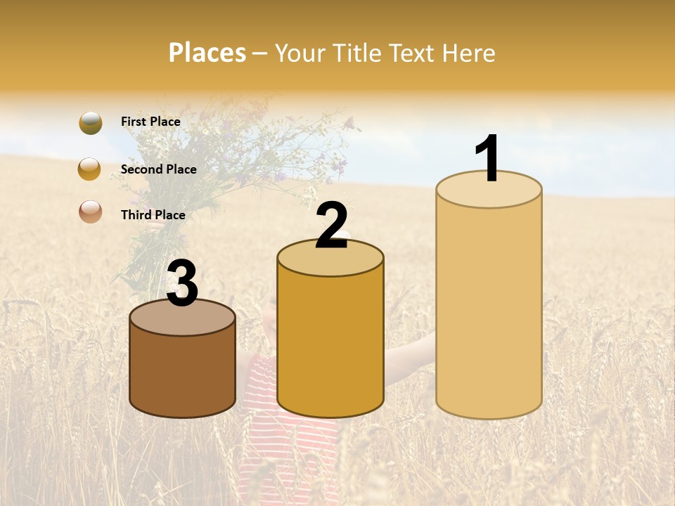 Field Wheat Sky PowerPoint Template
