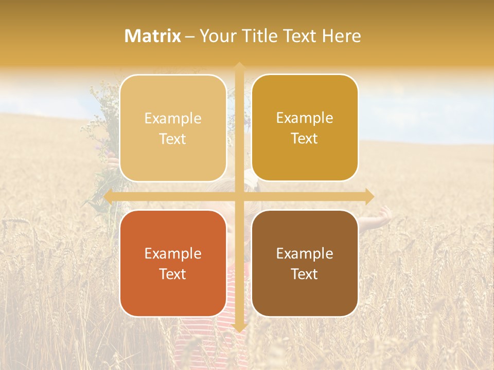 Field Wheat Sky PowerPoint Template
