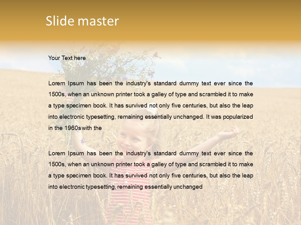Field Wheat Sky PowerPoint Template