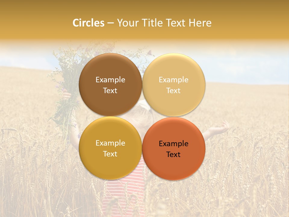 Field Wheat Sky PowerPoint Template