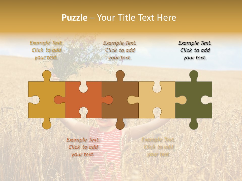 Field Wheat Sky PowerPoint Template