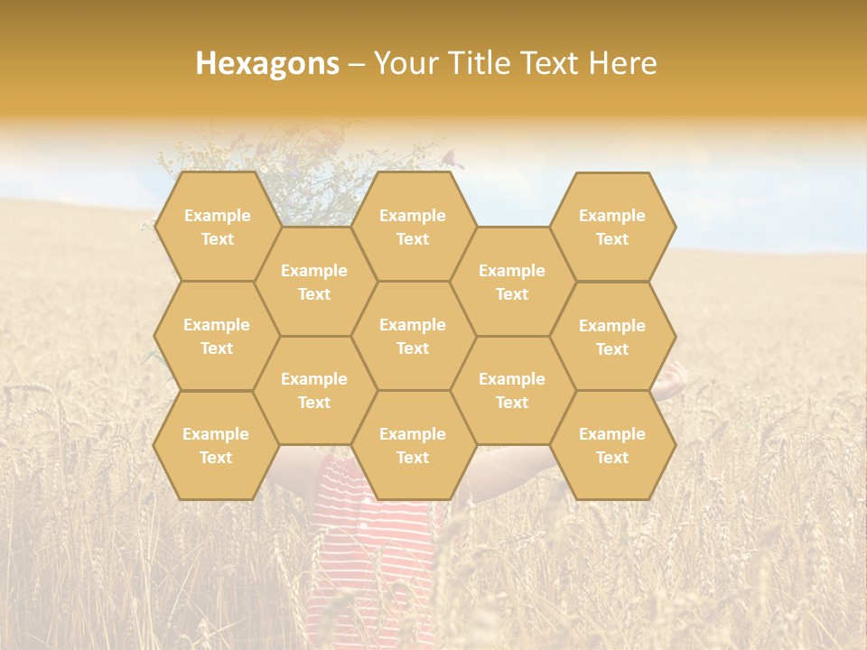 Field Wheat Sky PowerPoint Template