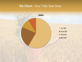 Field Wheat Sky PowerPoint Template