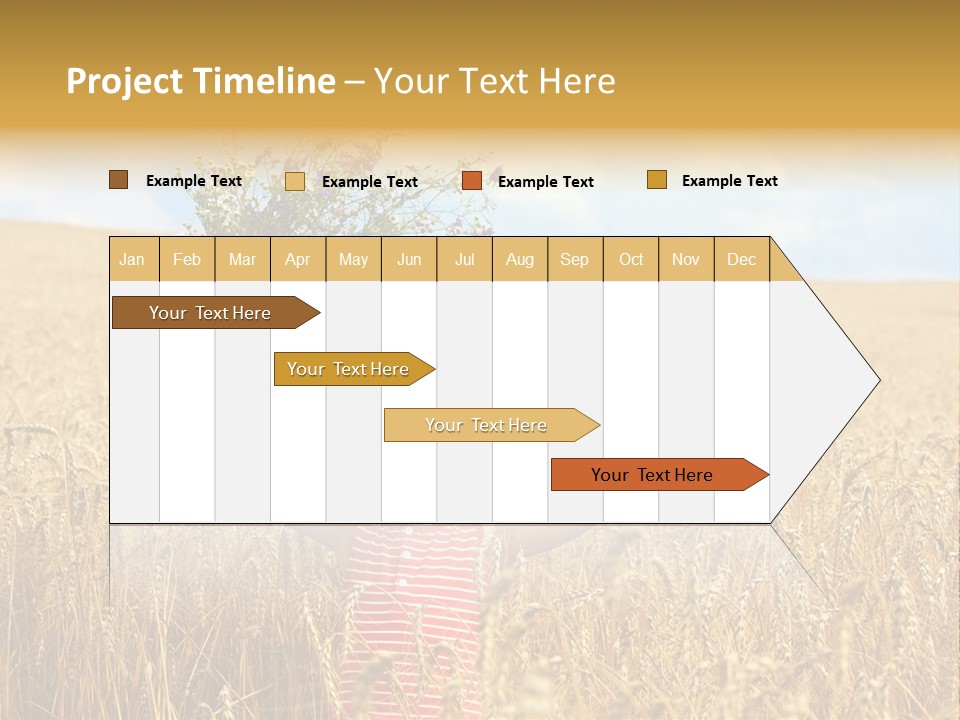 Field Wheat Sky PowerPoint Template