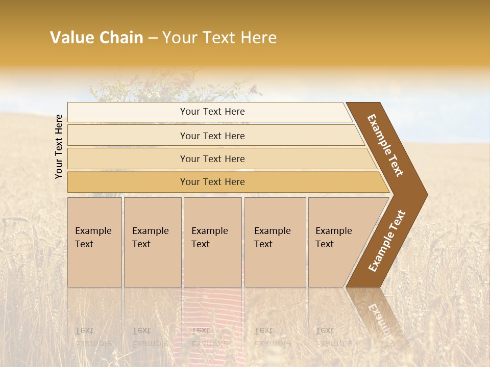 Field Wheat Sky PowerPoint Template