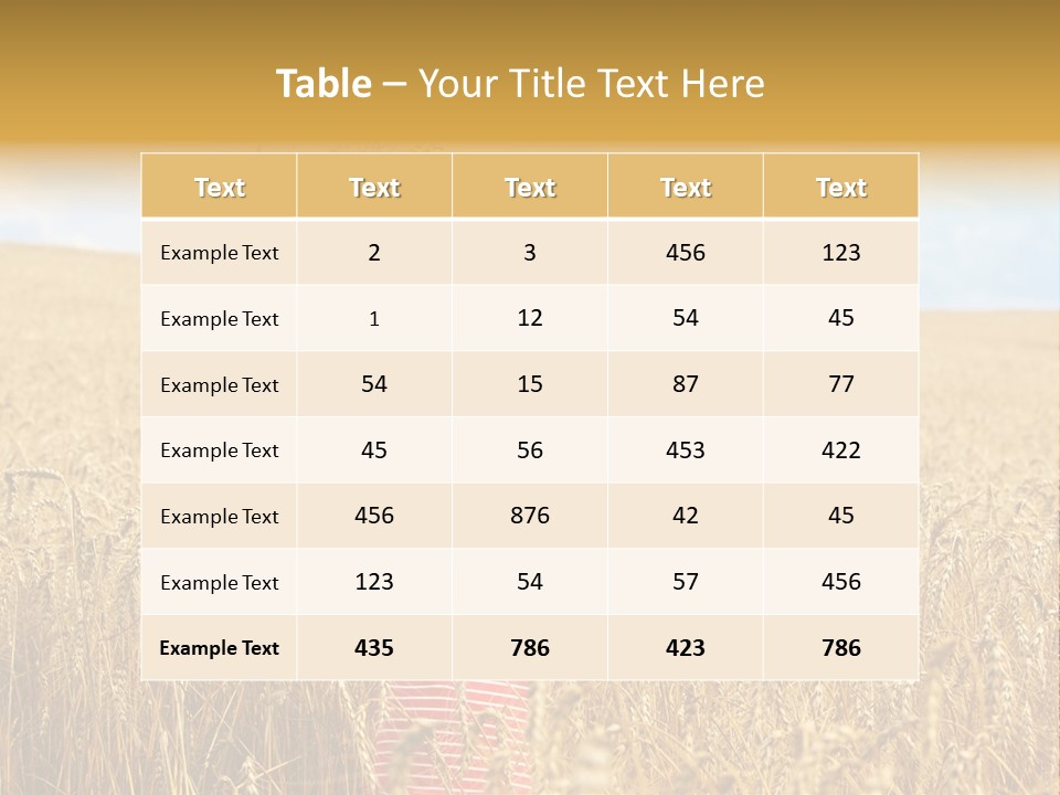 Field Wheat Sky PowerPoint Template