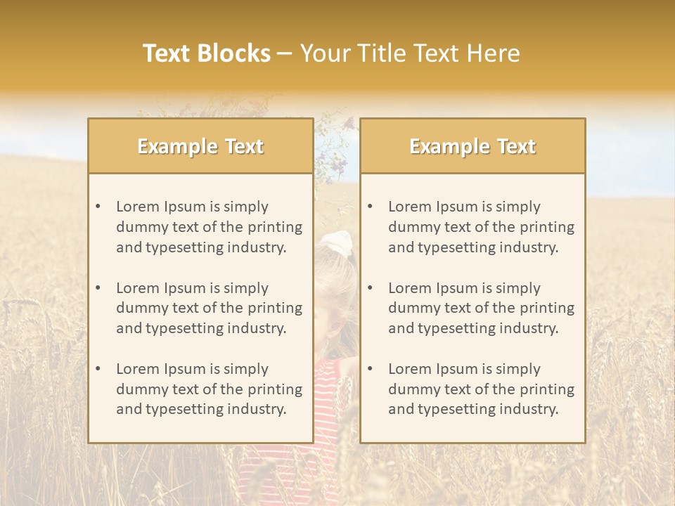 Field Wheat Sky PowerPoint Template