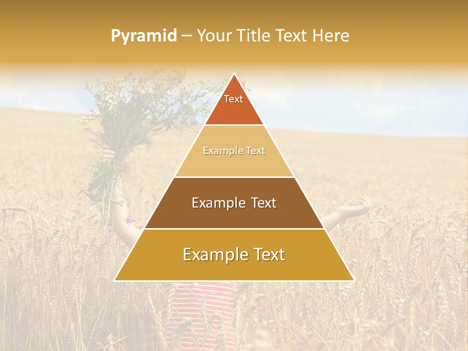 Field Wheat Sky PowerPoint Template