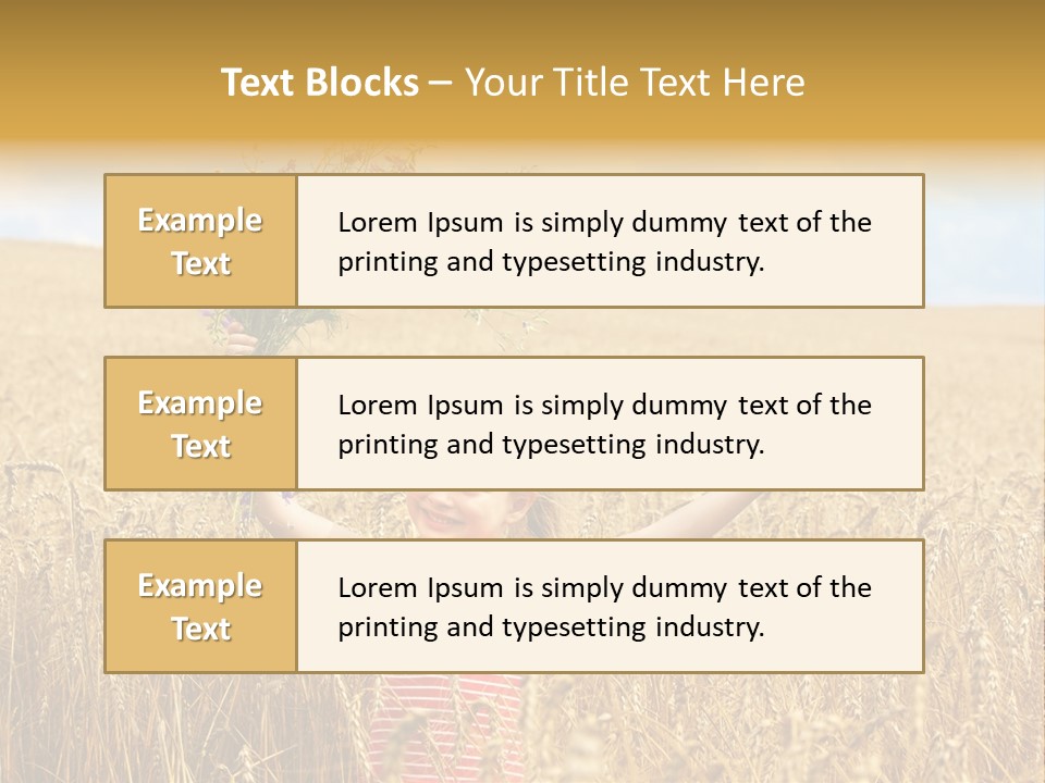 Field Wheat Sky PowerPoint Template
