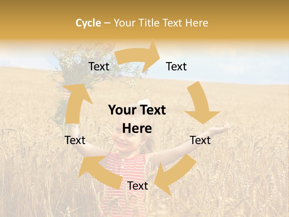 Field Wheat Sky PowerPoint Template
