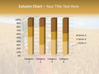 Field Wheat Sky PowerPoint Template