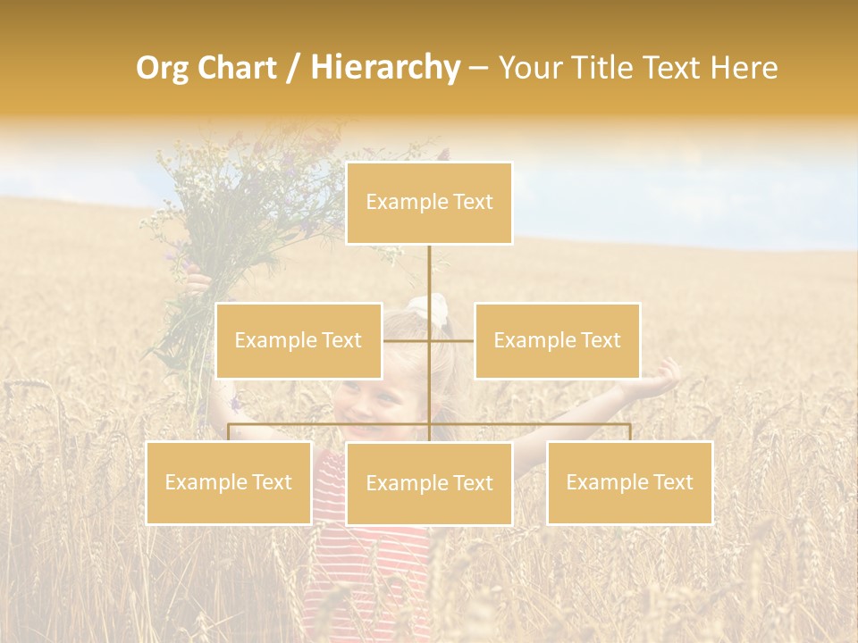 Field Wheat Sky PowerPoint Template