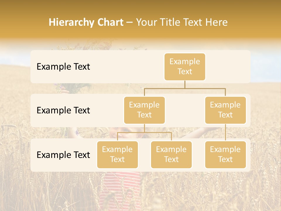 Field Wheat Sky PowerPoint Template
