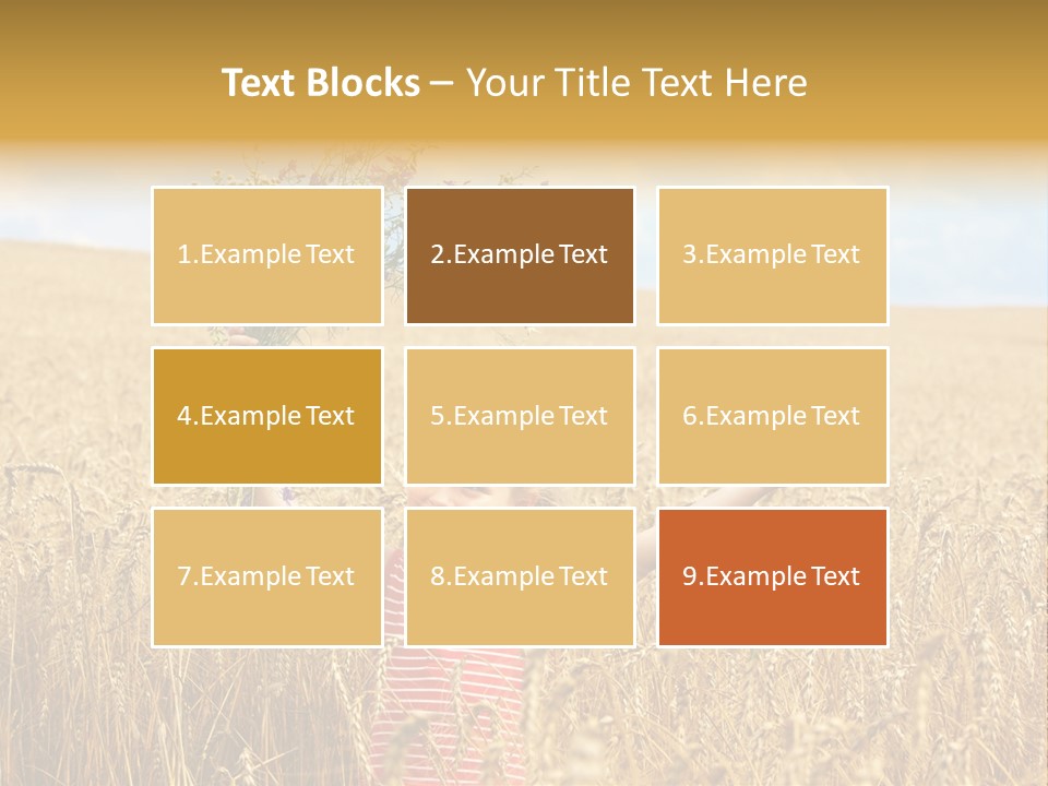 Field Wheat Sky PowerPoint Template