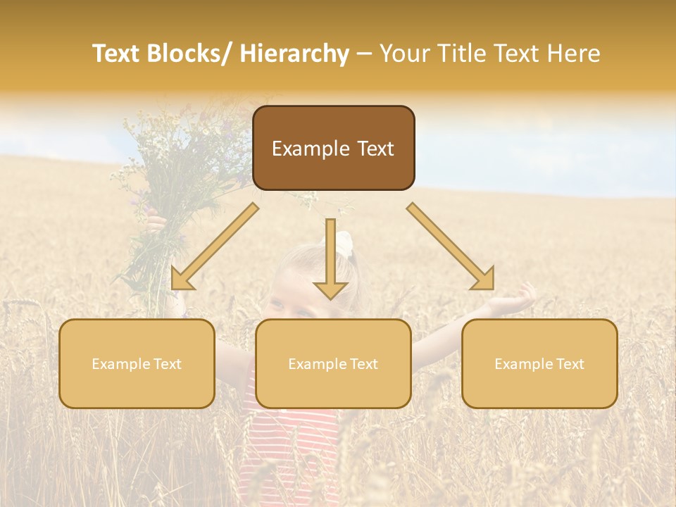 Field Wheat Sky PowerPoint Template