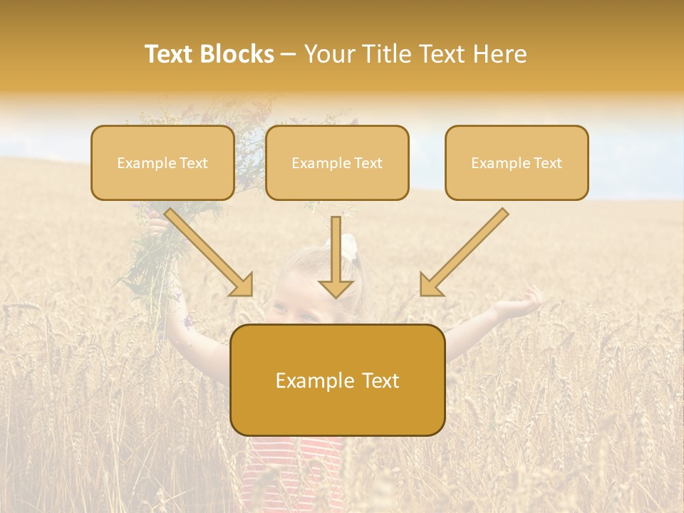 Field Wheat Sky PowerPoint Template