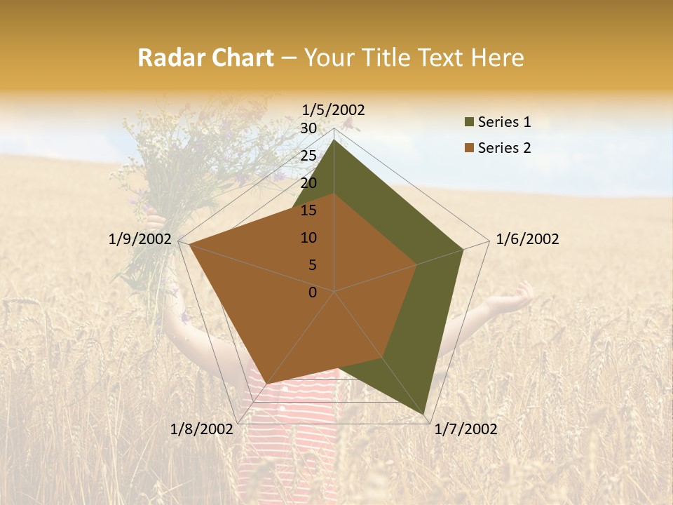 Field Wheat Sky PowerPoint Template