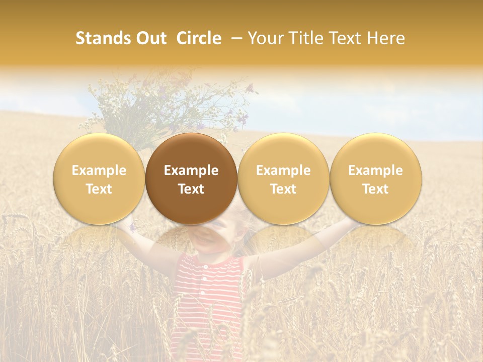 Field Wheat Sky PowerPoint Template