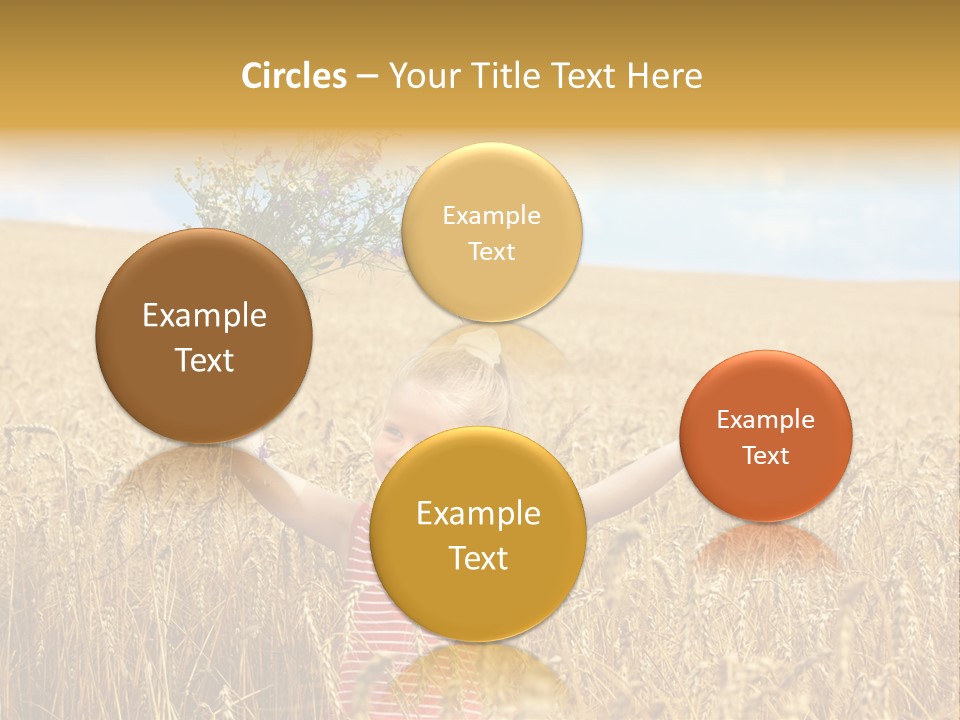 Field Wheat Sky PowerPoint Template