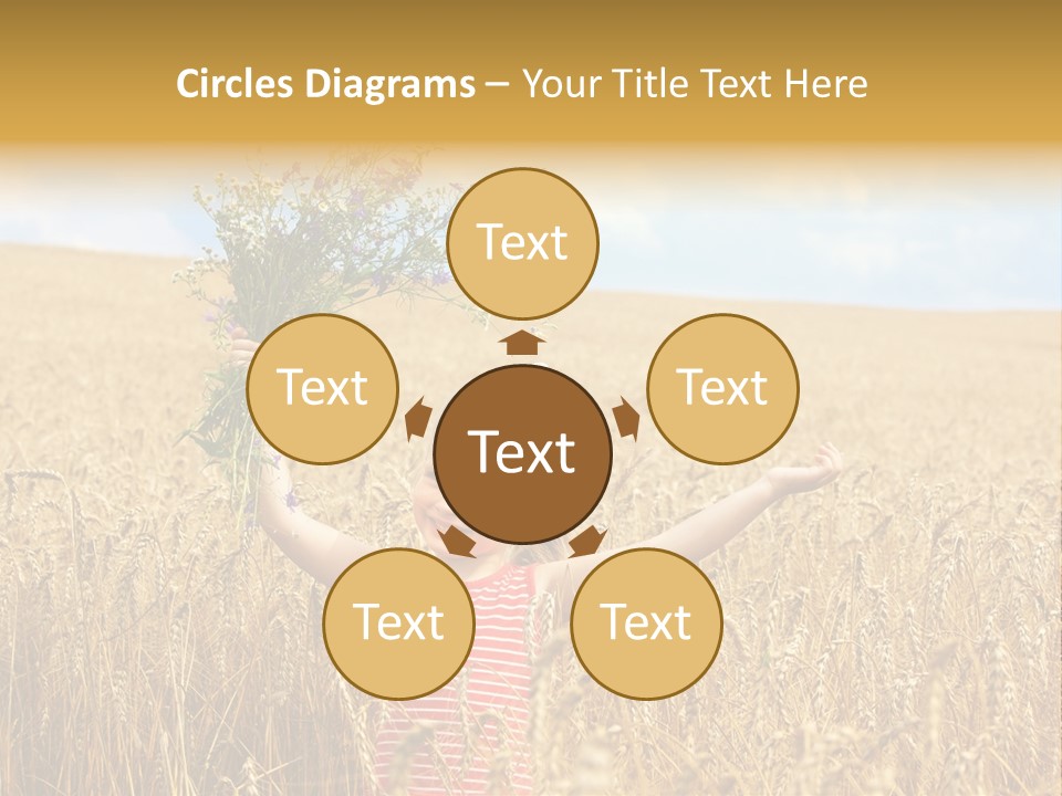 Field Wheat Sky PowerPoint Template