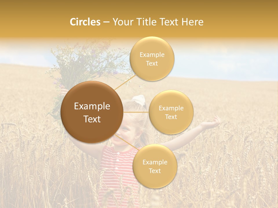 Field Wheat Sky PowerPoint Template