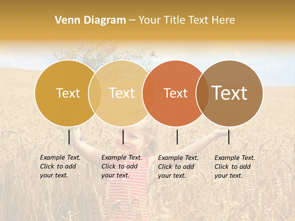 Field Wheat Sky PowerPoint Template