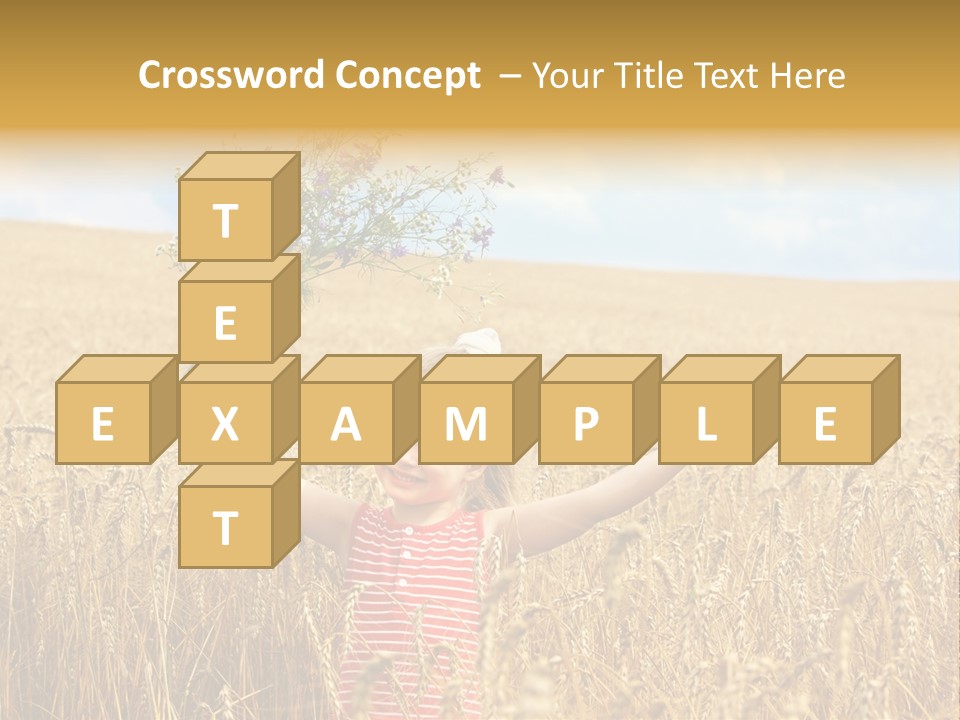 Field Wheat Sky PowerPoint Template
