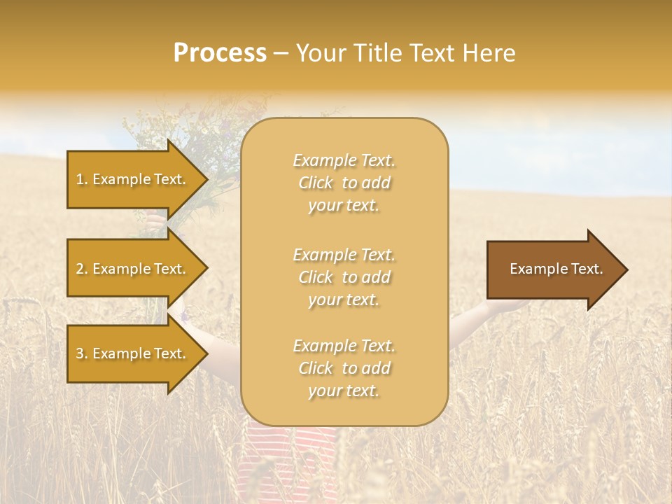 Field Wheat Sky PowerPoint Template