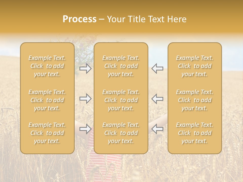 Field Wheat Sky PowerPoint Template