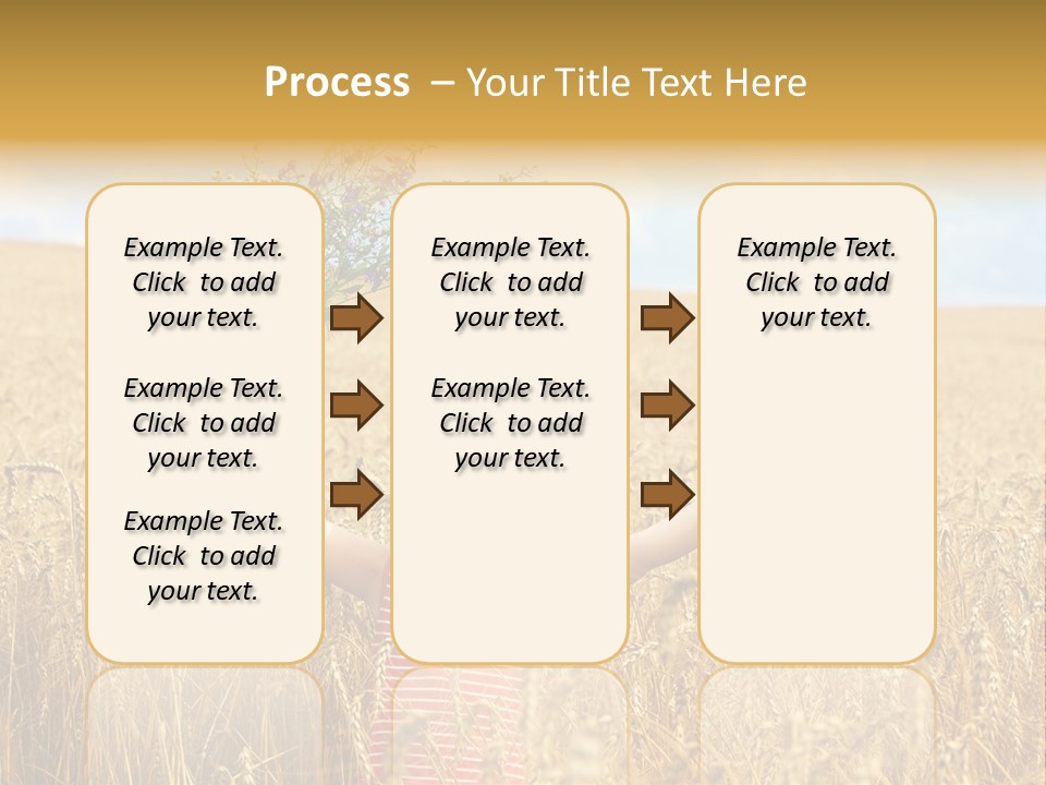 Field Wheat Sky PowerPoint Template