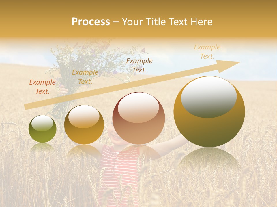 Field Wheat Sky PowerPoint Template