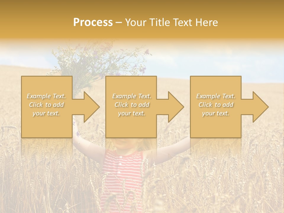 Field Wheat Sky PowerPoint Template