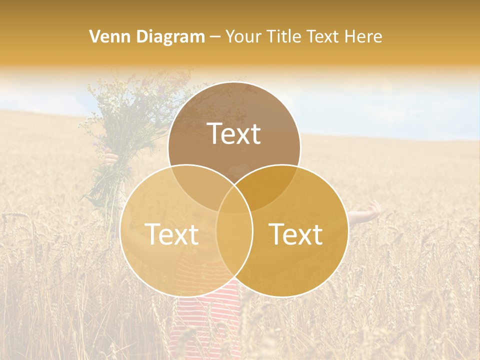 Field Wheat Sky PowerPoint Template