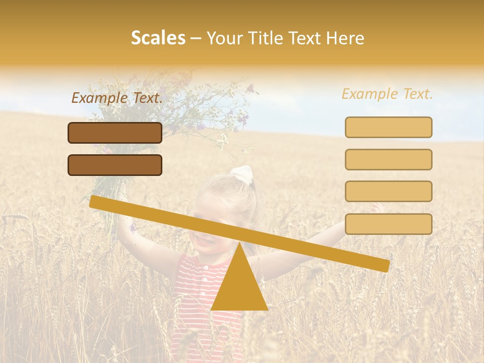 Field Wheat Sky PowerPoint Template