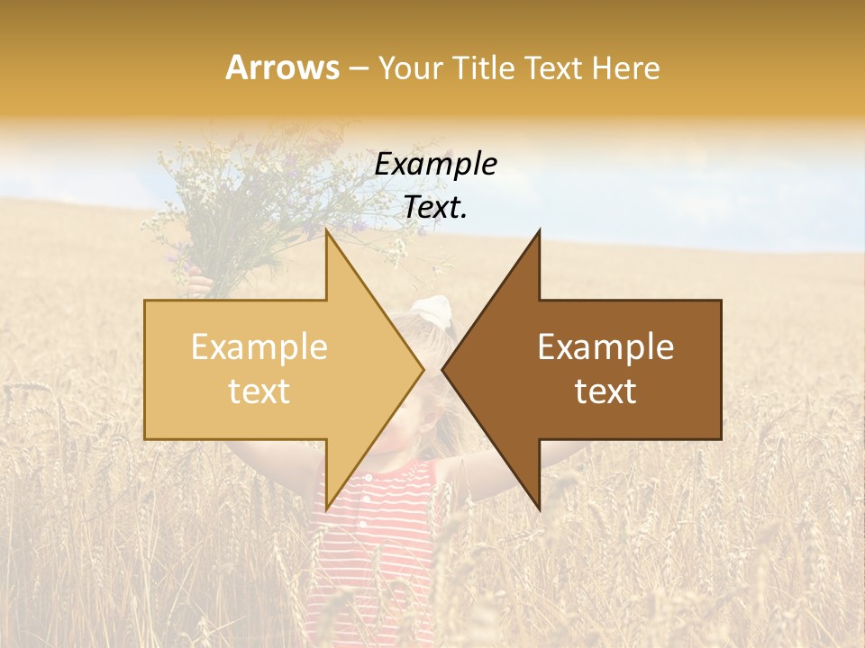 Field Wheat Sky PowerPoint Template
