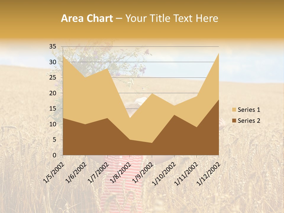 Field Wheat Sky PowerPoint Template