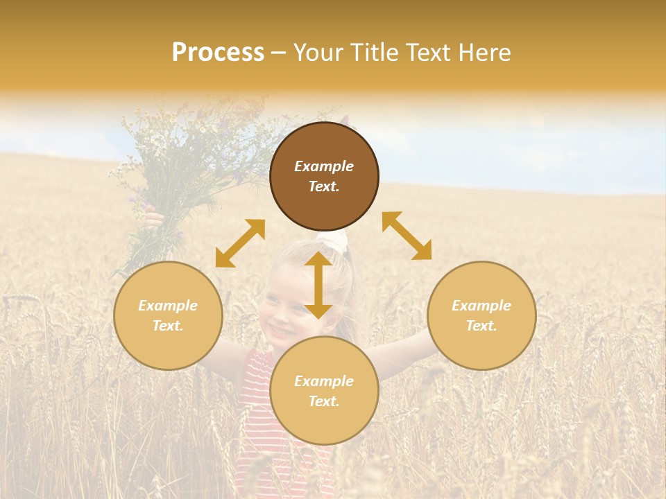 Field Wheat Sky PowerPoint Template