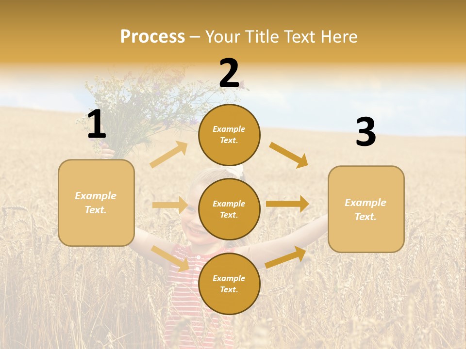 Field Wheat Sky PowerPoint Template