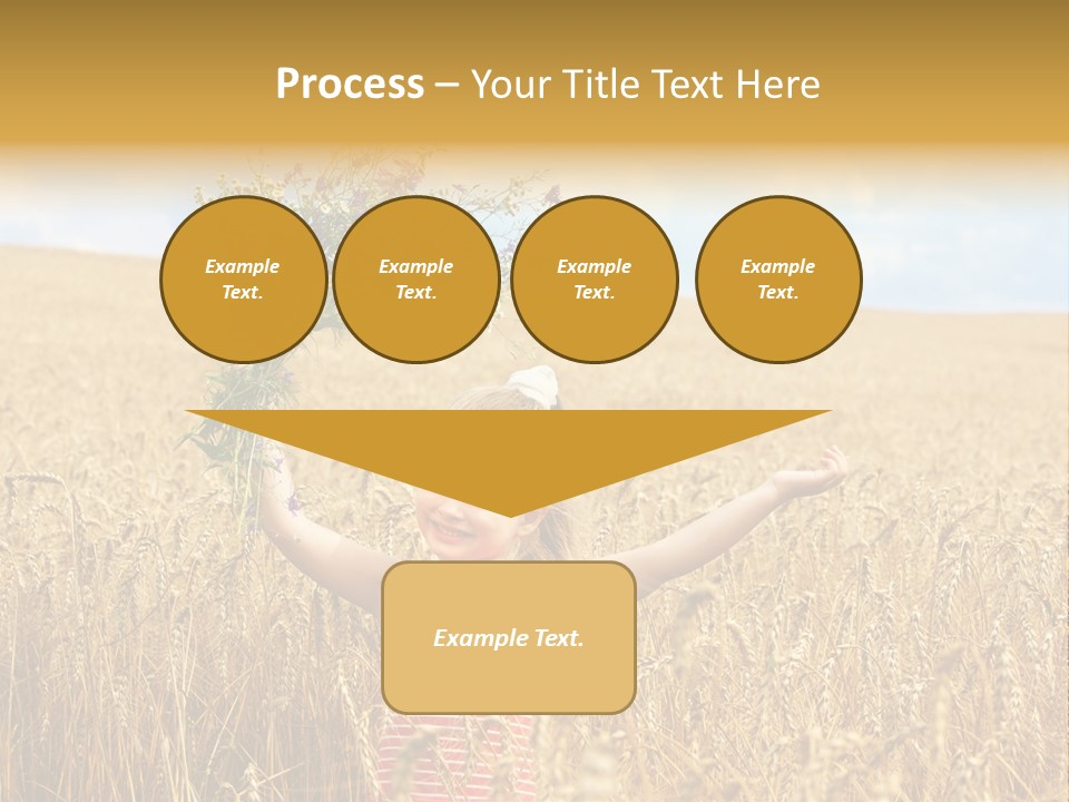 Field Wheat Sky PowerPoint Template