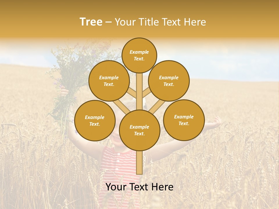 Field Wheat Sky PowerPoint Template