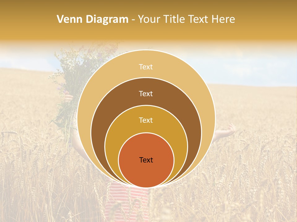 Field Wheat Sky PowerPoint Template