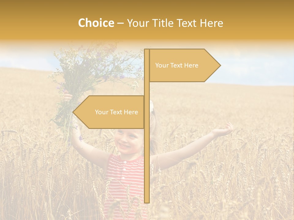 Field Wheat Sky PowerPoint Template