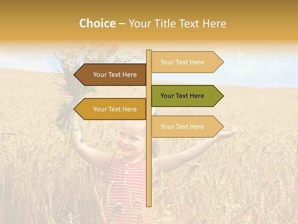 Field Wheat Sky PowerPoint Template