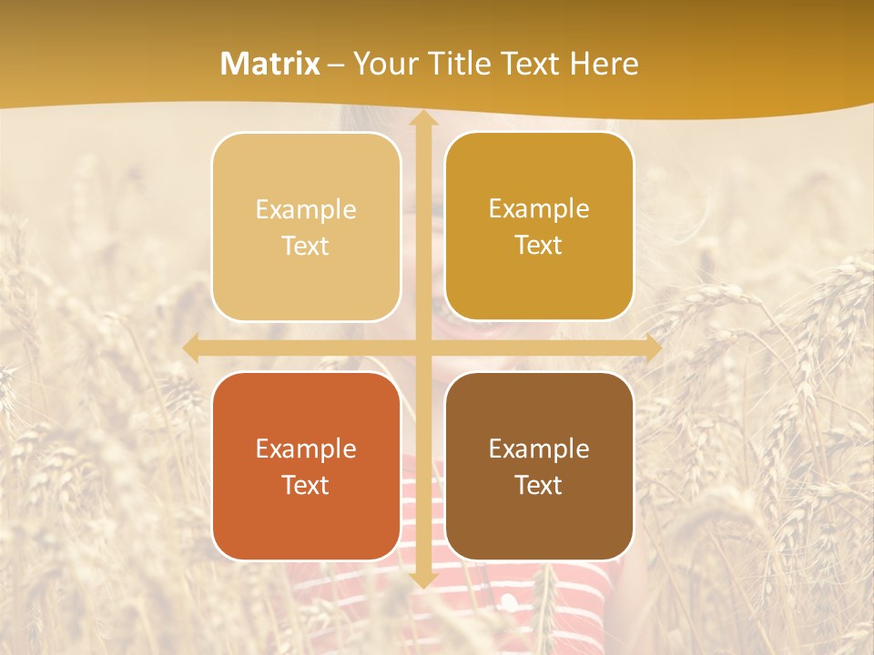 Wheat Spring Landscape PowerPoint Template