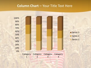 Wheat Spring Landscape PowerPoint Template