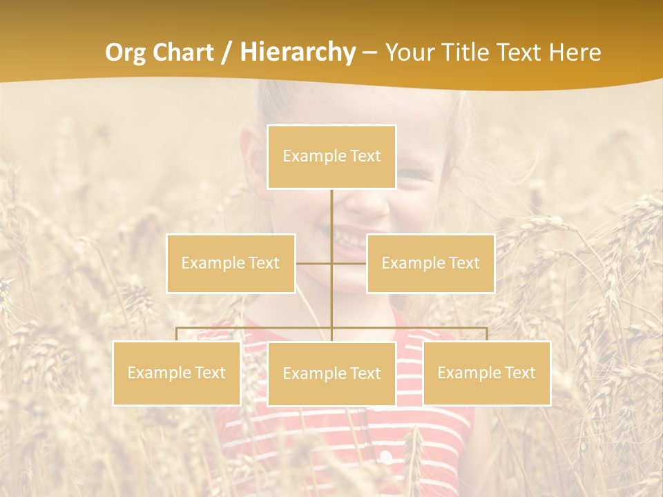 Wheat Spring Landscape PowerPoint Template