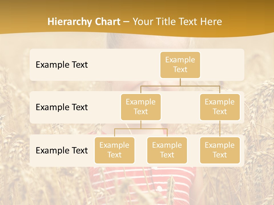Wheat Spring Landscape PowerPoint Template